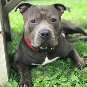 Meet your Posher, Valoree